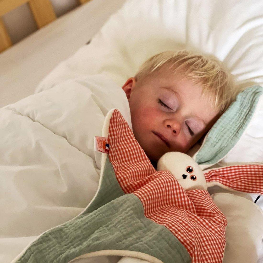 Gus biologisch katoenen knuffel - FamilyStuff